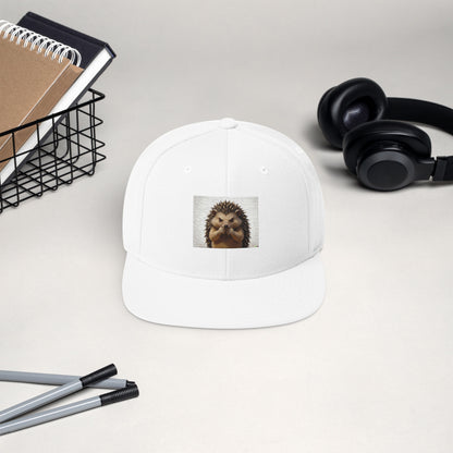 no-your-personalized-snapback-hat design 13